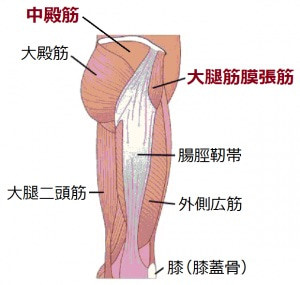 股関節痛　解消法2