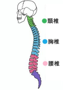 分離症5