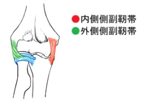 側副靭帯